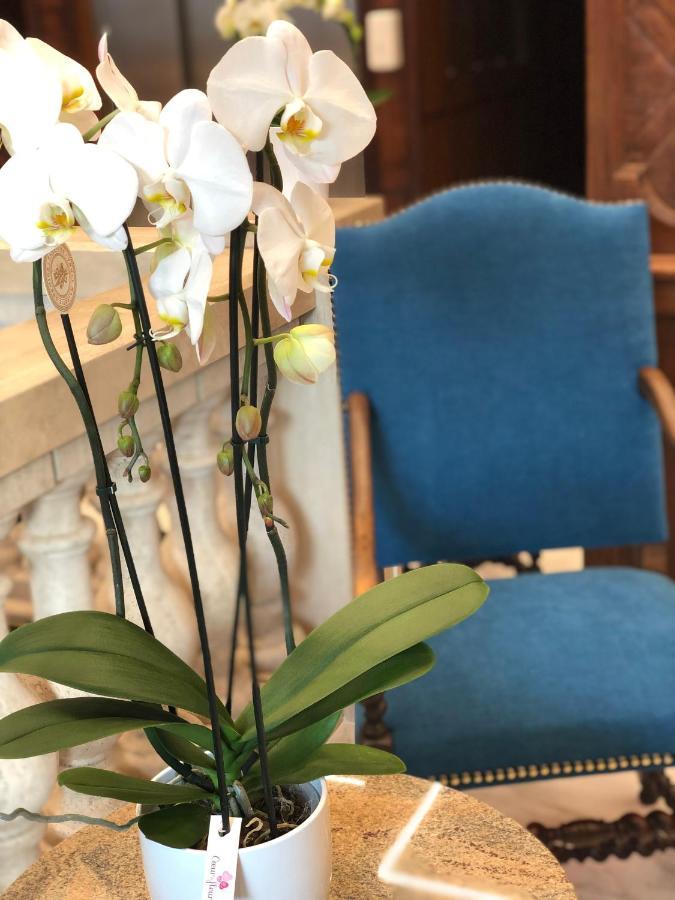 לורדה Grand Hotel D'Espagne מראה חיצוני תמונה
